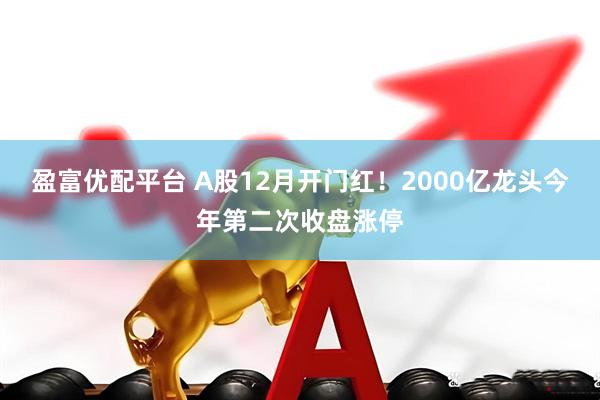 盈富优配平台 A股12月开门红！2000亿龙头今年第二次收盘涨停