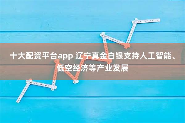 十大配资平台app 辽宁真金白银支持人工智能、低空经济等产业发展