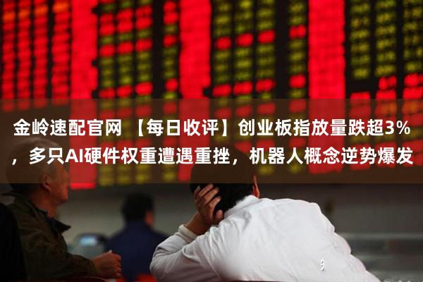 金岭速配官网 【每日收评】创业板指放量跌超3%，多只AI硬件权重遭遇重挫，机器人概念逆势爆发